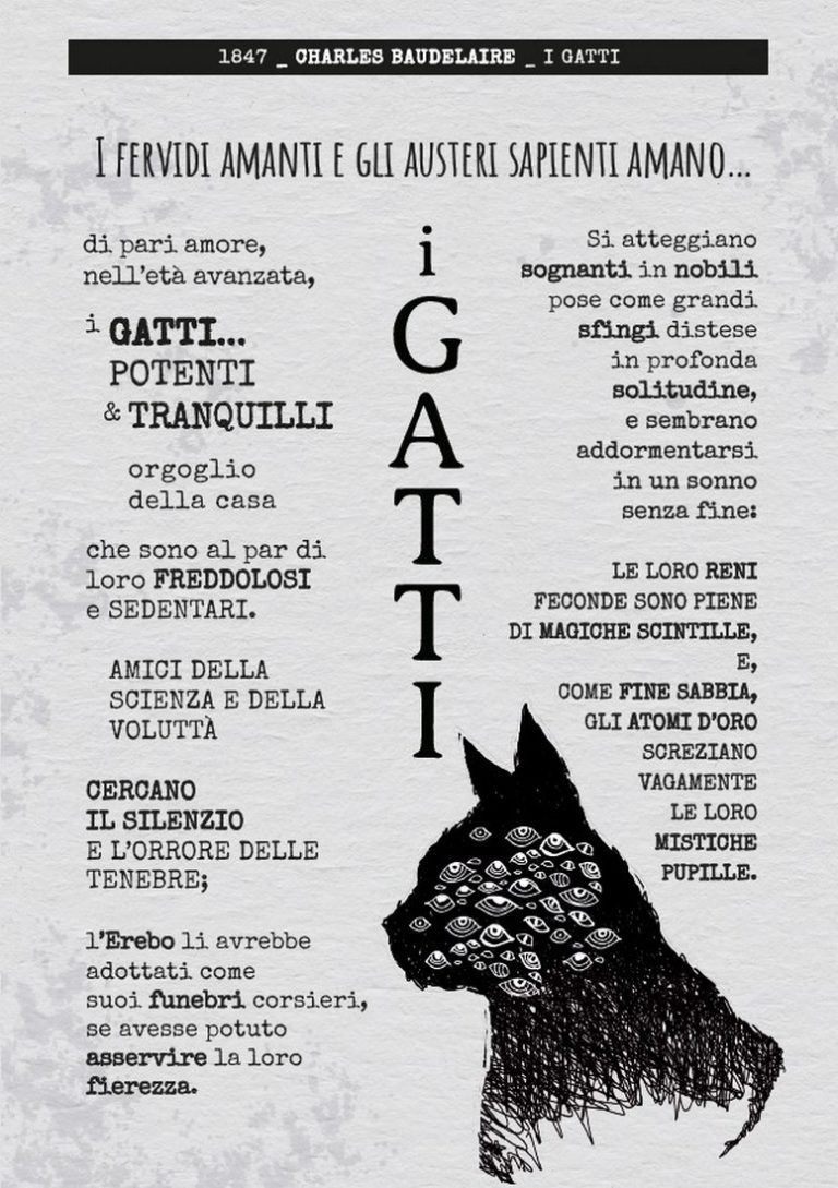spleen-poesia_gatti